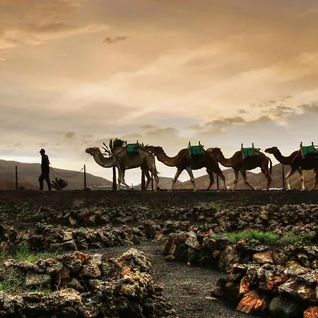 Home2book Modern Puerto Del Carmen, Terrace Appartement Puerto del Carmen (Lanzarote)
