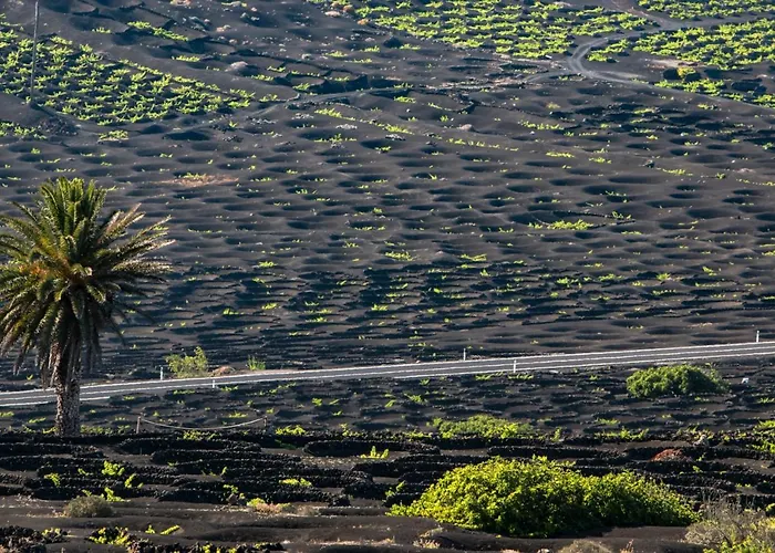 Home2book Modern Puerto Del Carmen, Terrace Apartment Puerto del Carmen (Lanzarote)