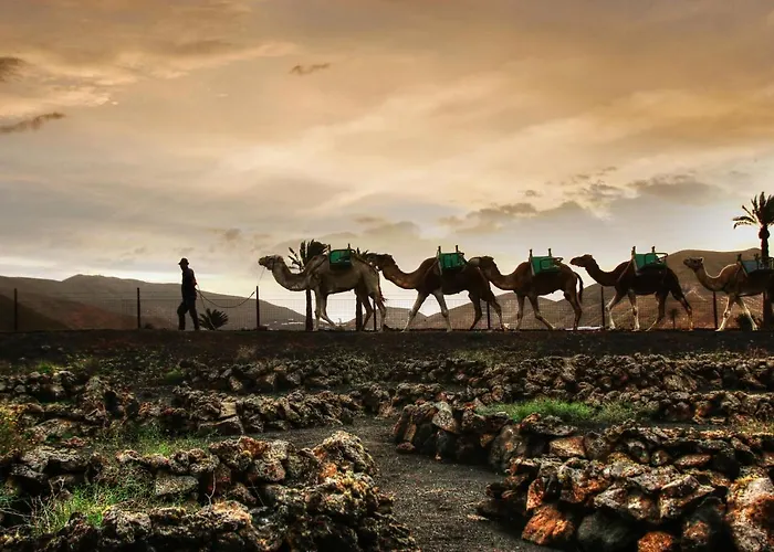 Home2book Modern Puerto Del Carmen, Terrace Apartment Puerto del Carmen (Lanzarote)